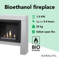 Bolea Riano specifications.jpg