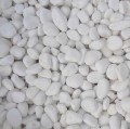 White pebbles (1).jpg